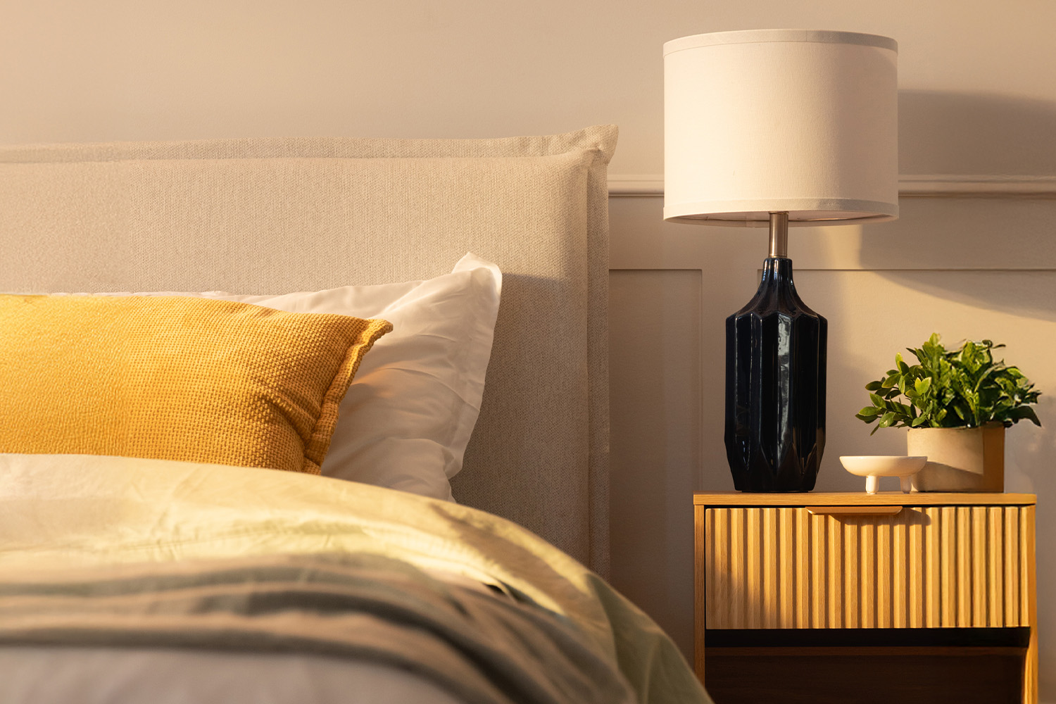 <p><b>Stylish Options</b></p>

