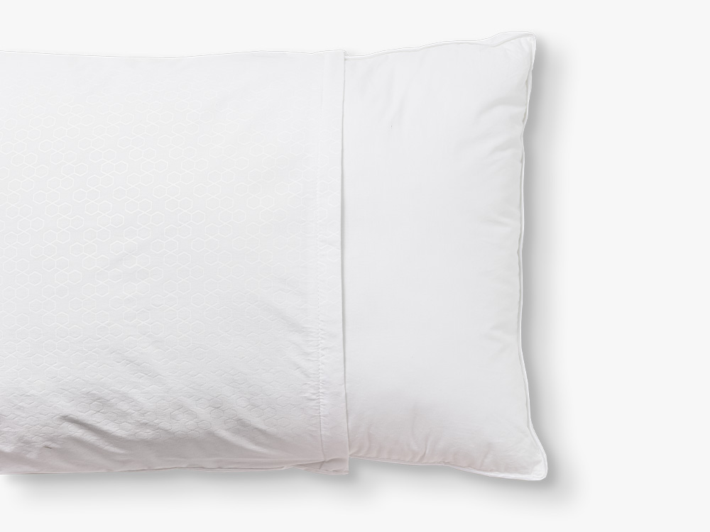 Pillow Protector Halfway (straight on) Pillow Protector Halfway (straight on)