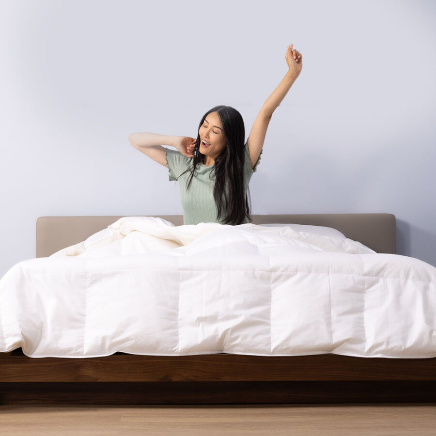 Couette en duvet canadien - Image 6