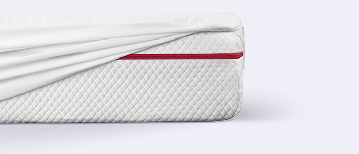 Mattress Protector